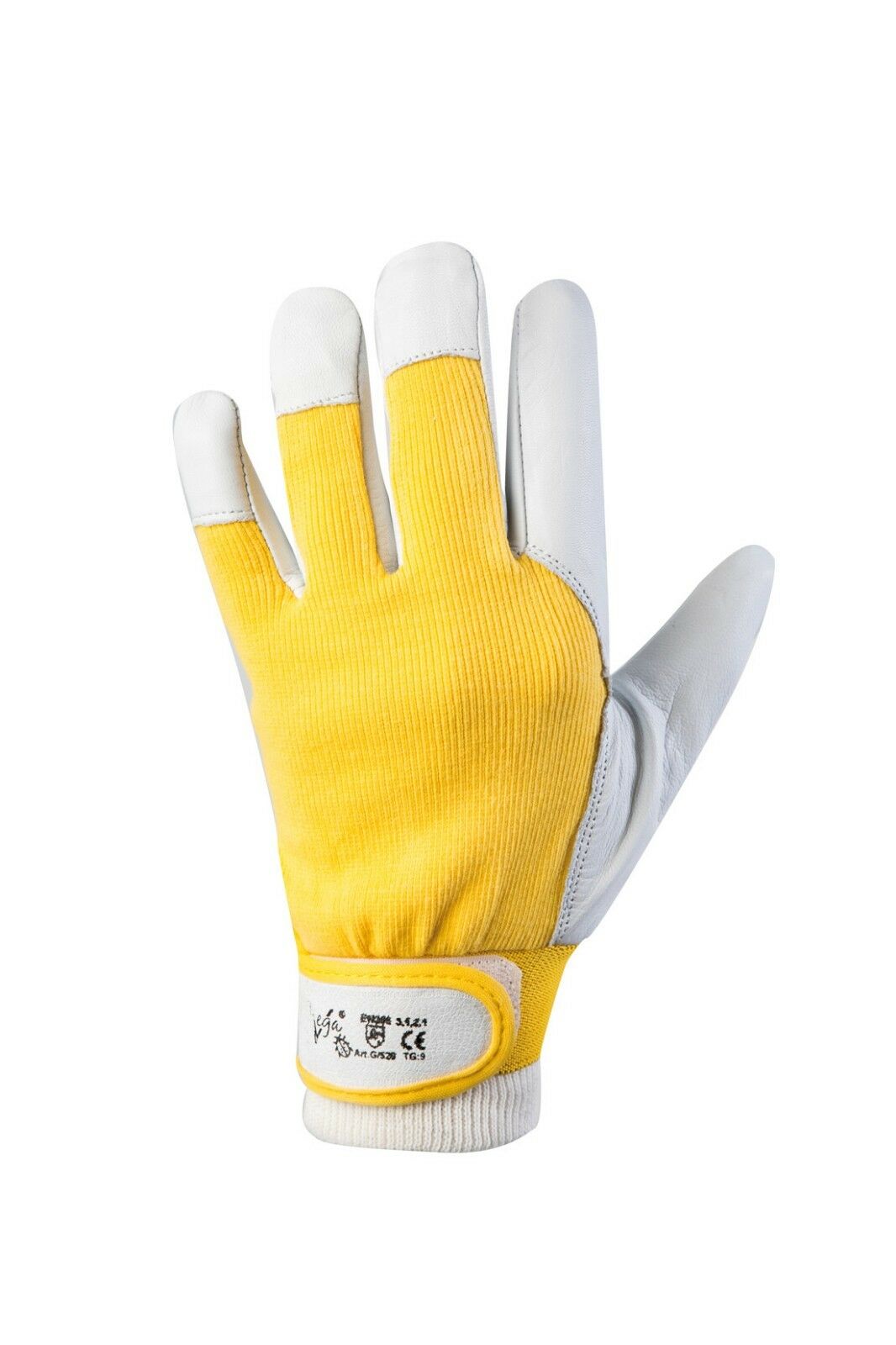 GUANTI GOLF 11 376050 F003 DC-ST G520