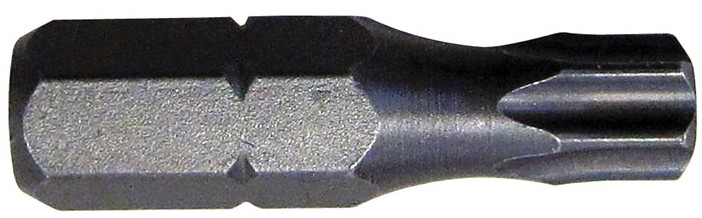 INSERTI TORX TX20X25  4932430875 12095  