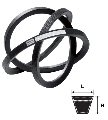 CINGHIA FTD-SPB-1500 TRAP B231500010000