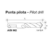 PUNTA PILOTA X FRESA TAZZA 6MM242200600