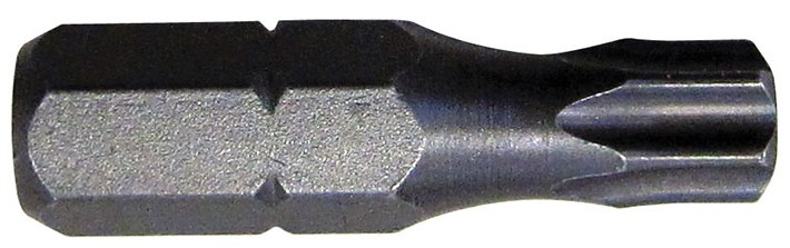 INSERTI TORX TX55X25 12102