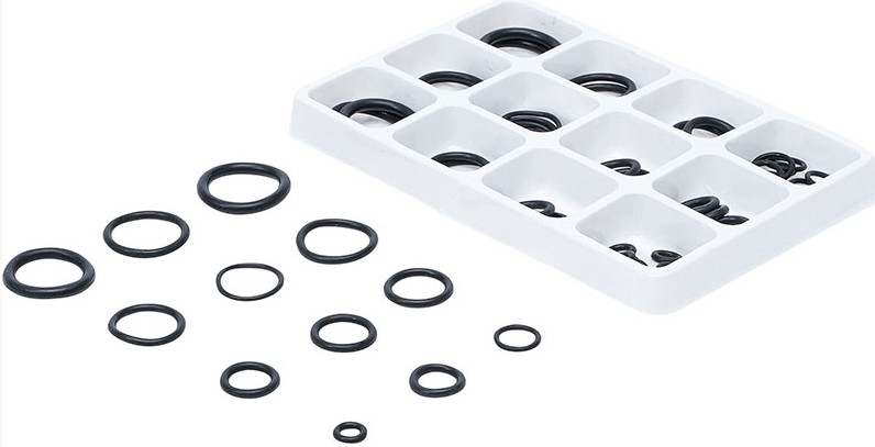 CASS PLASTICA O-RING 50PZ 5-20MM BGS8131