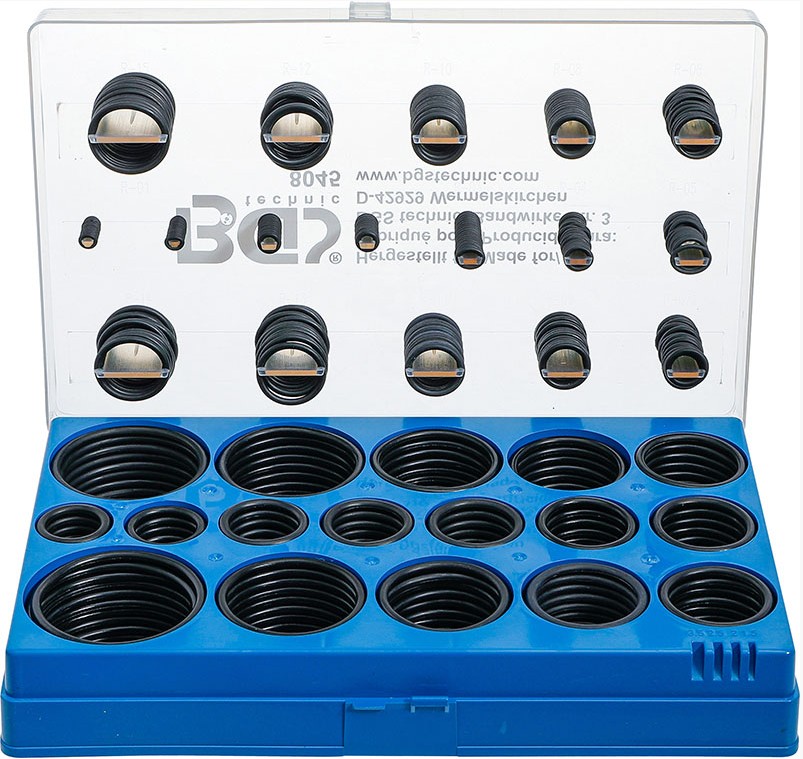 CASS PLAST O-RING 419 PZ ASSORT BGS8045