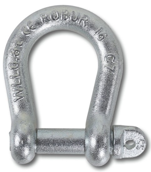 ROBUR 8028/25 GRILLI LIRA 080280125     