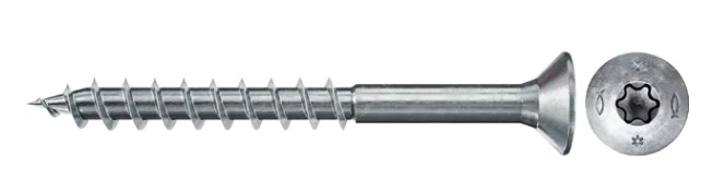 VITI TORX 3X45 FPF-CTP 670021