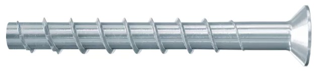 VITE CALCESTR.SK FBS II 8X110 558230    