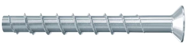 VITE CALCES.SKFBS II 10X95 40/30/ 536886