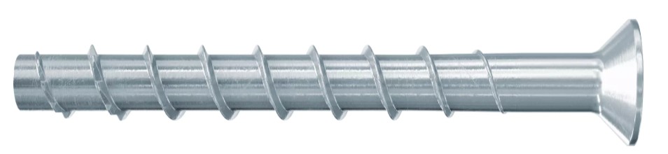 VITE CALCES.SKFBS II 10X120 65/55 536888