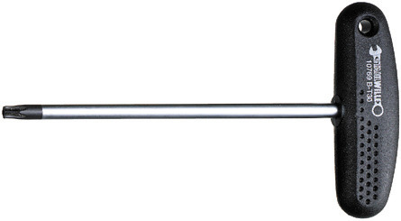 SW10769B/T15 GIRAV TORX FOR.A T  T15