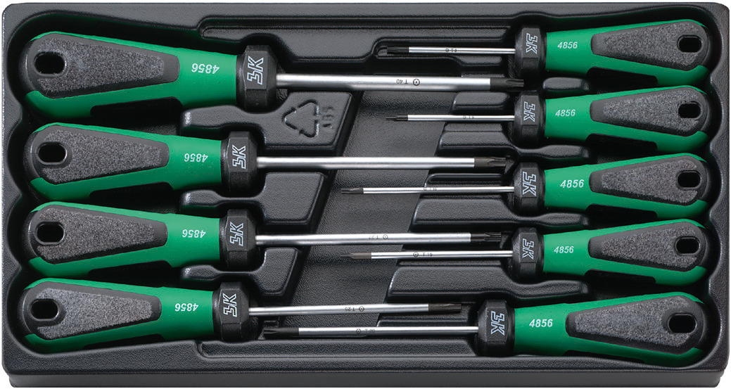 SW4899 3K DR ASS.GIRAV.TORX 9pz.