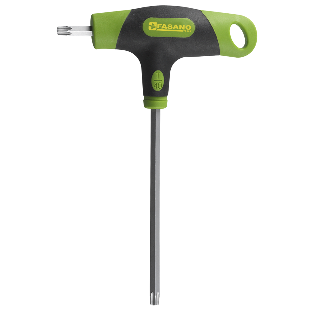 FG143/TX20 CHIAVE MASCHIO TX20 PARROT