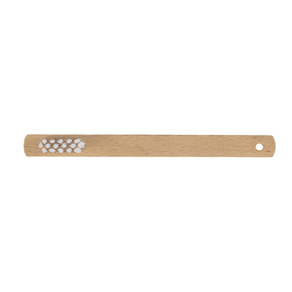 FG191/S14-4 SPAZZOLA LUNGA