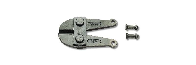BETA 1101R/300 RICAMBI TESTA TRONCABUL  